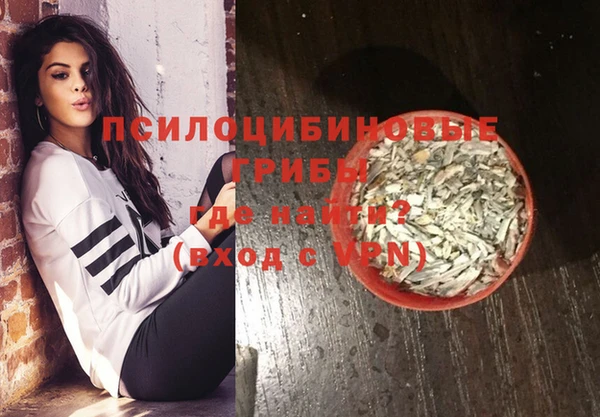 гидра Богородск