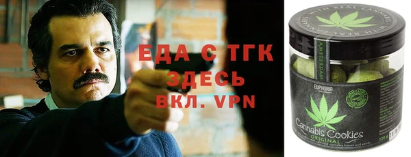 гидра Богородск