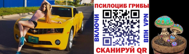 где купить наркотик  Рязань  Галлюциногенные грибы Cubensis 