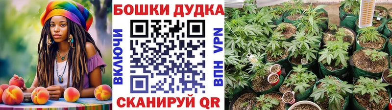 Шишки марихуана Amnesia  Рязань 
